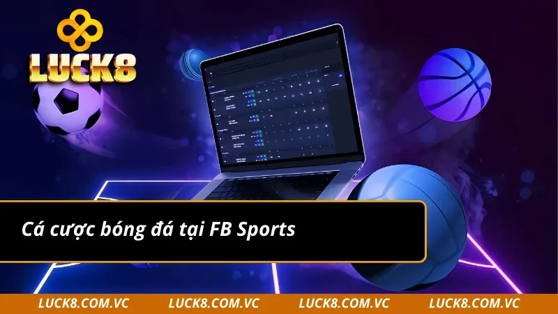 Cá độ bóng đá cực hấp dẫn tại FB Sports
